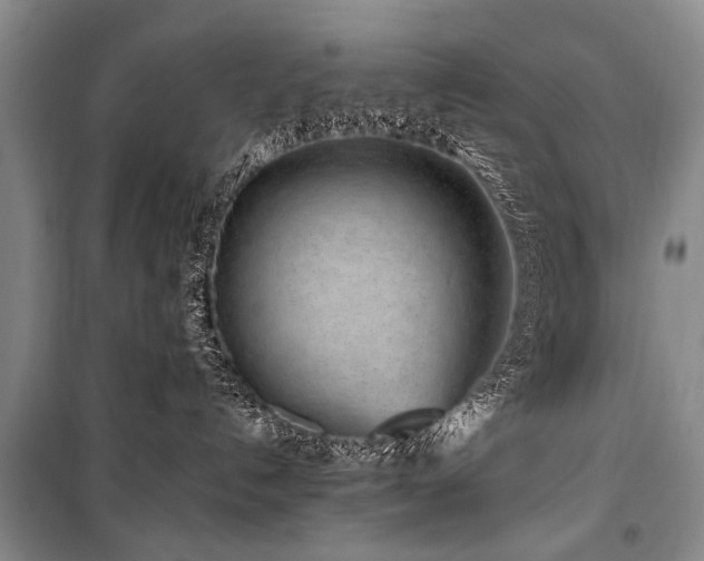 X0000101170192200806271044
