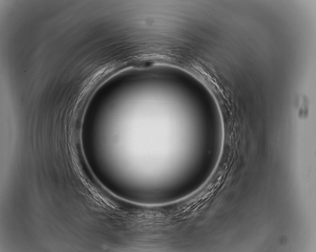 X0000101170193200806271043