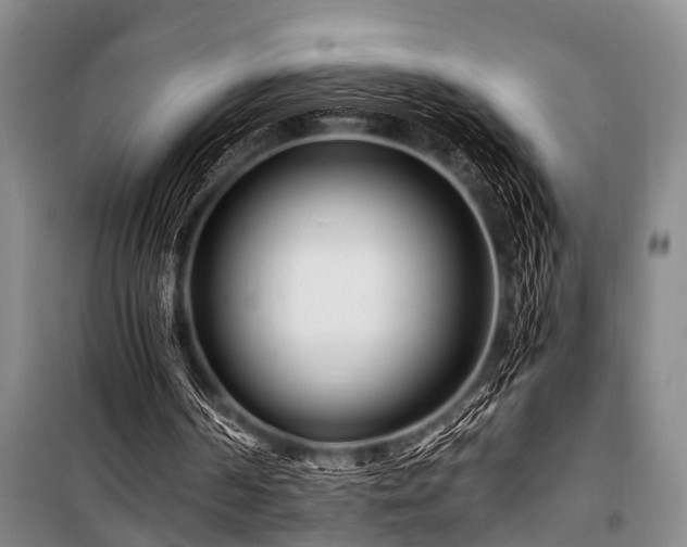 X0000101170194200806271043