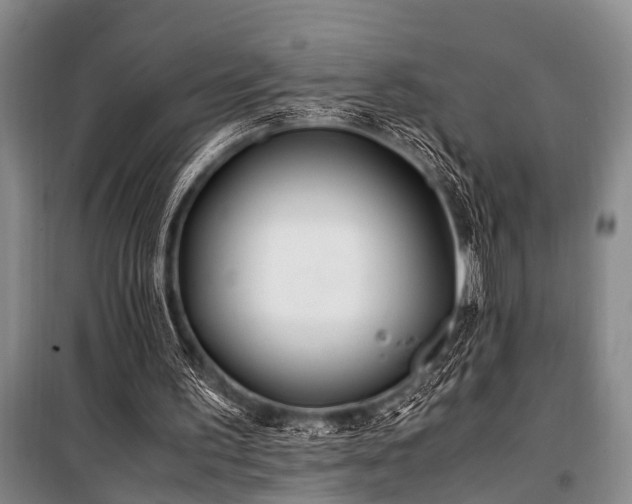 X0000101170195200806271043