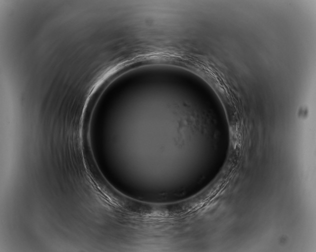 X0000101170196200806271043