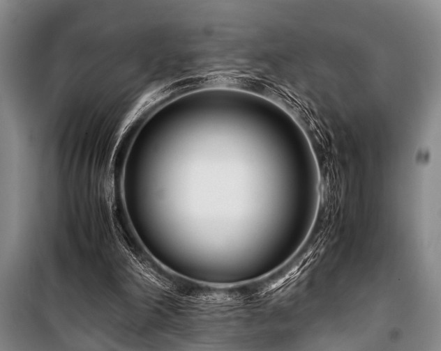 X0000101170198200806271043