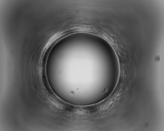 X0000101170199200806271043