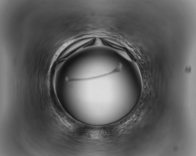 X0000101170200200806271043