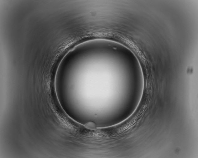 X0000101170201200806271043