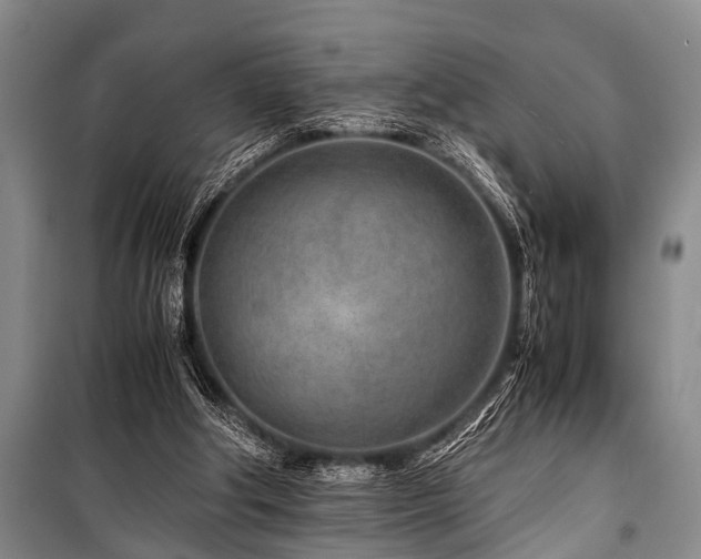 X0000101170202200806271043