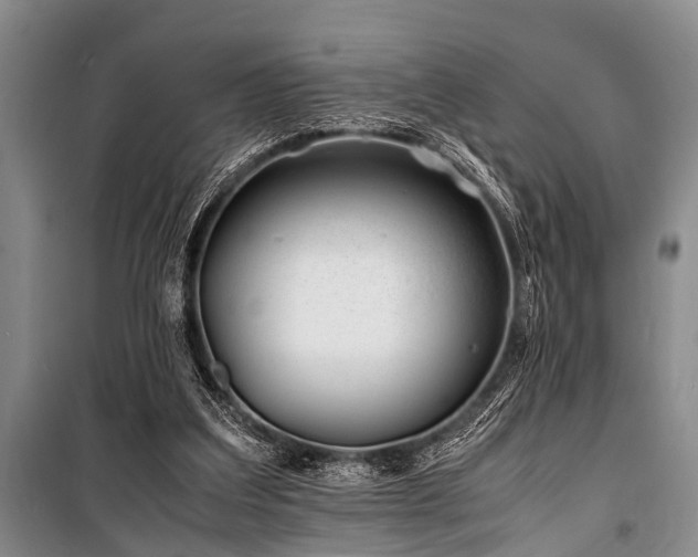 X0000101170203200806271043