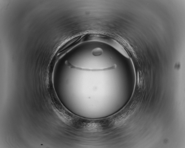 X0000101170204200806271043