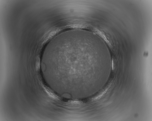 X0000101170205200806271043