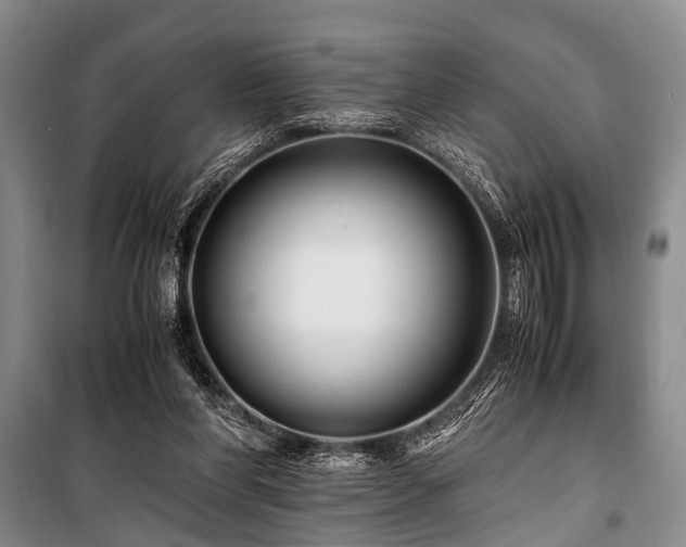 X0000101170206200806271043