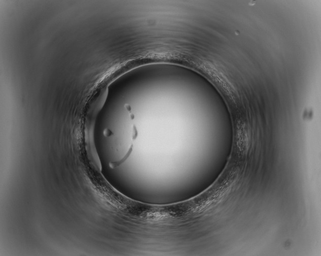 X0000101170208200806271043
