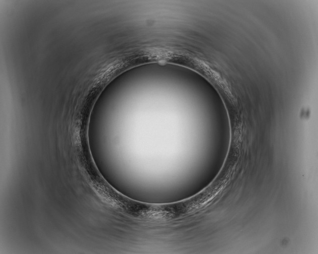 X0000101170209200806271043
