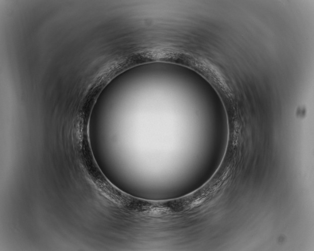 X0000101170210200806271043