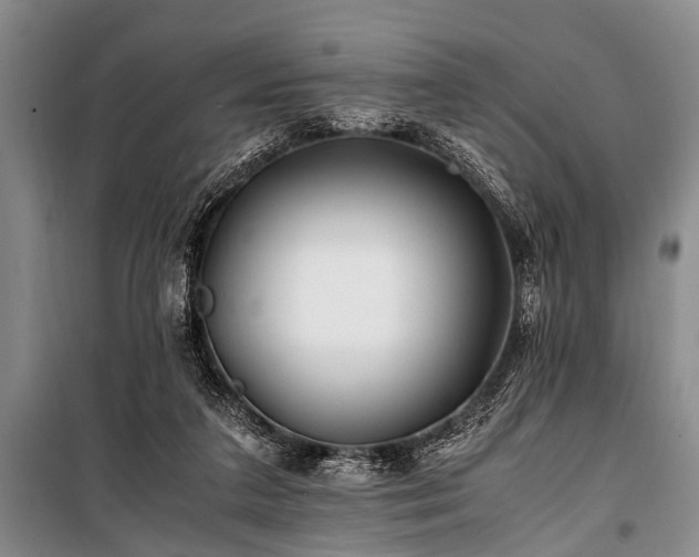 X0000101170211200806271043