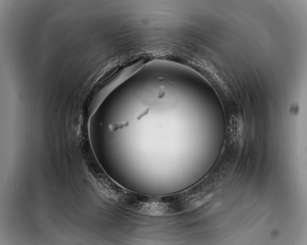 X0000101170212200806271043