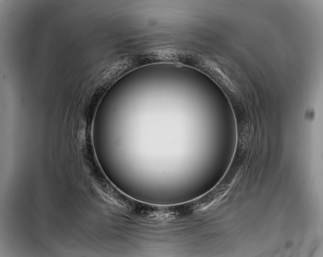 X0000101170213200806271043