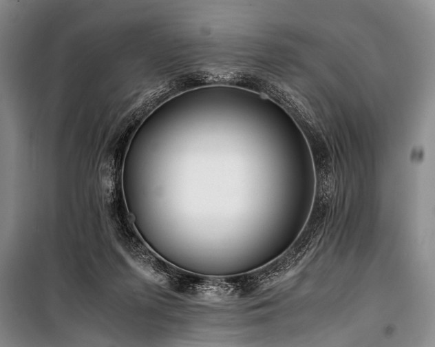 X0000101170215200806271043