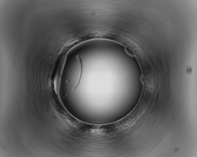 X0000101170216200806271042