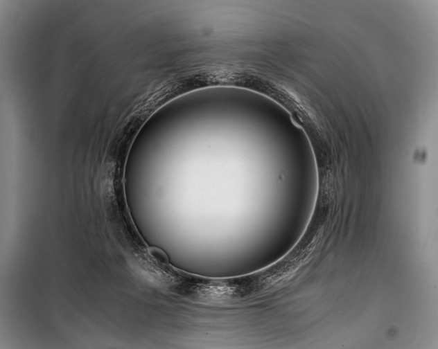 X0000101170217200806271042