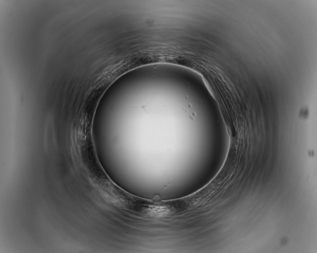 X0000101170218200806271042