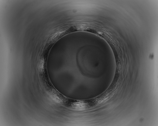 X0000101170219200806271042