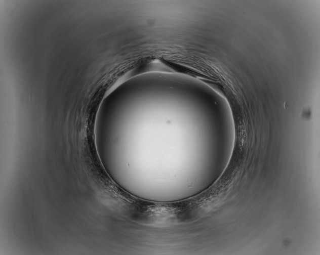 X0000101170221200806271042
