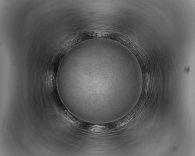 X0000101170222200806271042