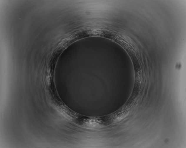 X0000101170223200806271042