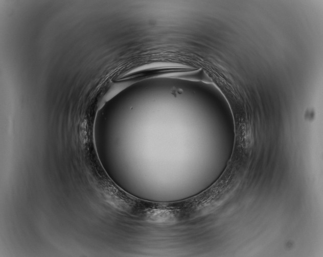 X0000101170224200806271042