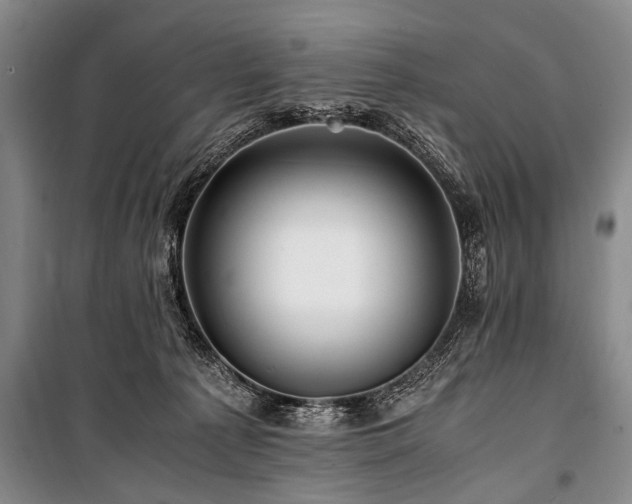 X0000101170225200806271042