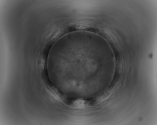 X0000101170227200806271042