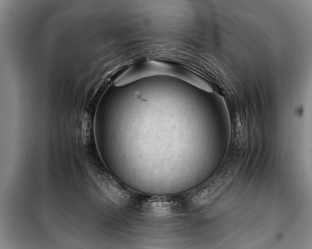 X0000101170228200806271042