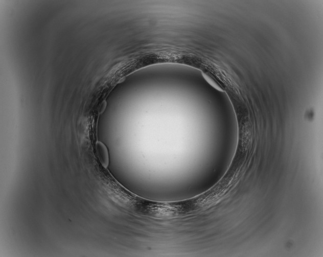 X0000101170229200806271042