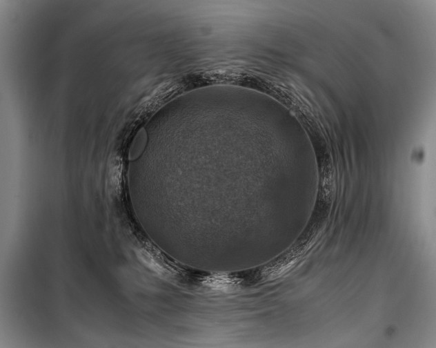 X0000101170231200806271042