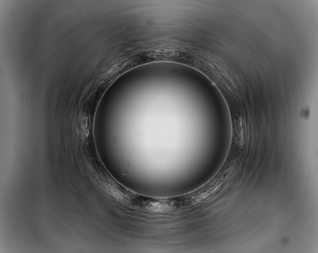 X0000101170232200806271042