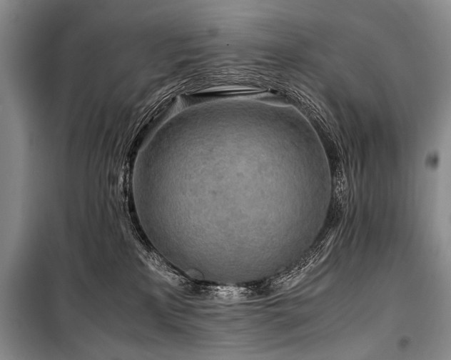 X0000101170233200806271042