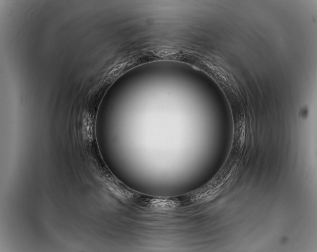 X0000101170234200806271042