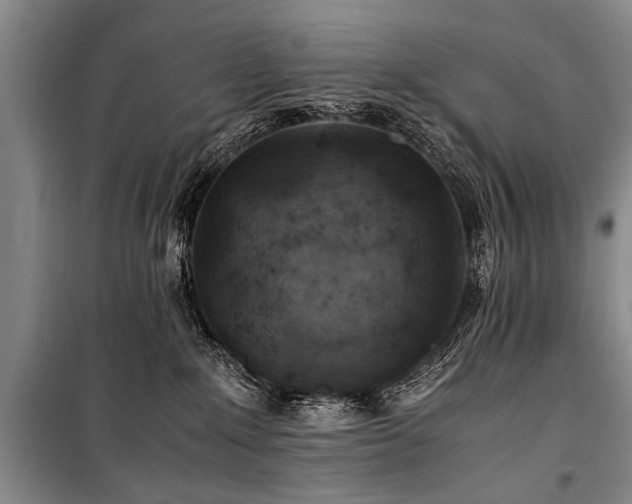 X0000101170235200806271042