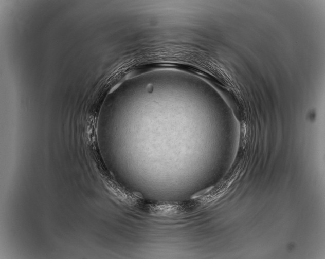 X0000101170237200806271042