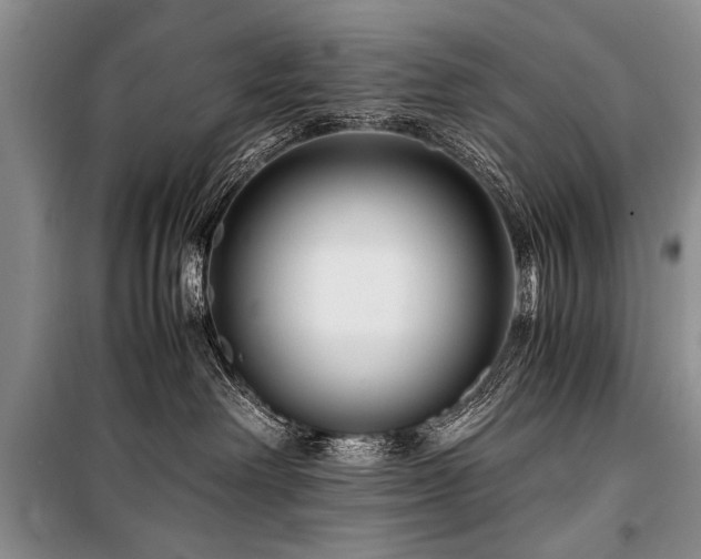 X0000101170238200806271042