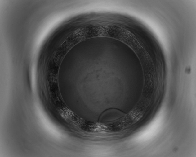 X0000101170239200806271042