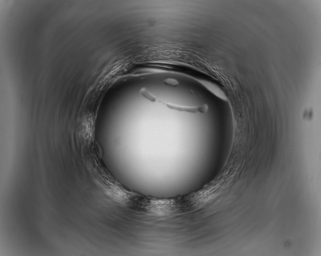 X0000101170240200806271042