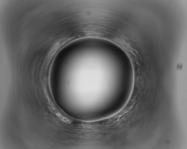 X0000101170241200806271041