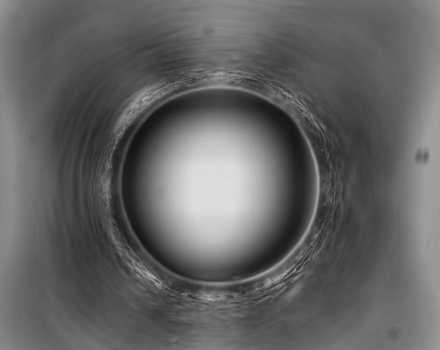 X0000101170242200806271041