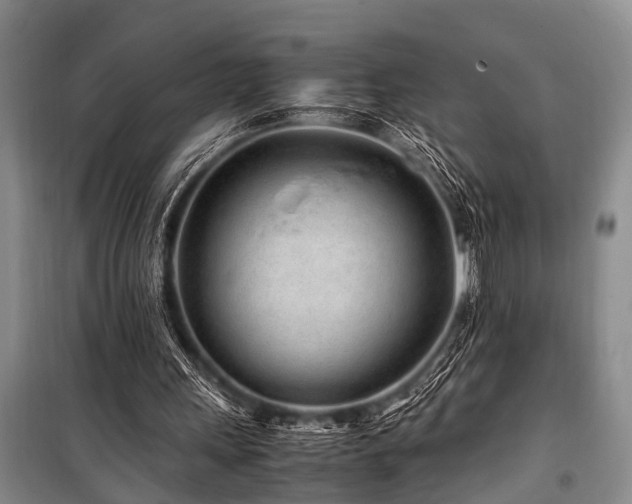 X0000101170243200806271041