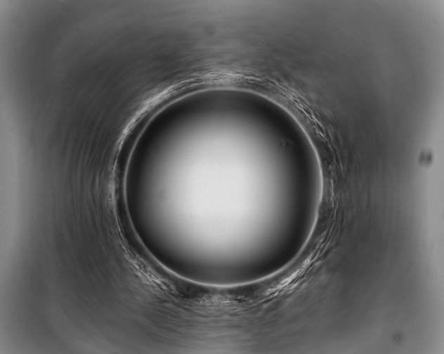 X0000101170244200806271041