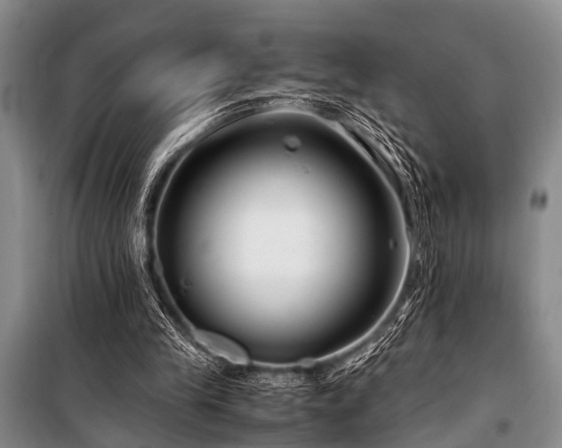 X0000101170245200806271041