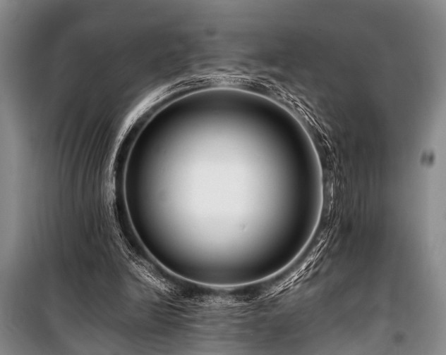 X0000101170246200806271041
