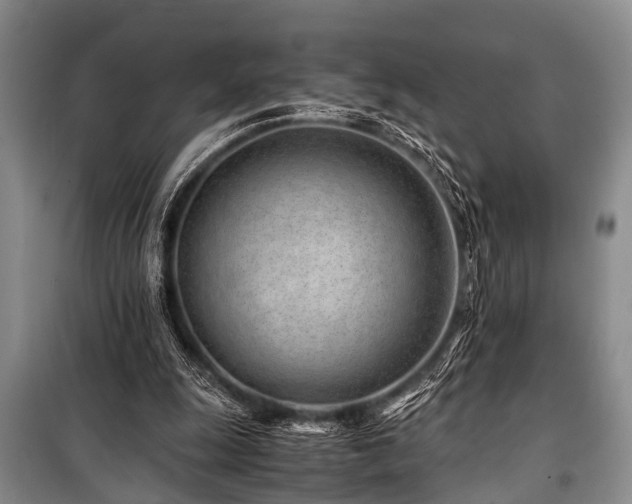 X0000101170247200806271041