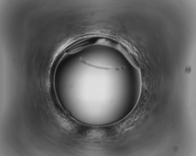 X0000101170248200806271041
